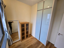 Suites @ Newton (D11), Apartment #460125731